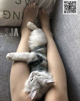 艶堂しほり