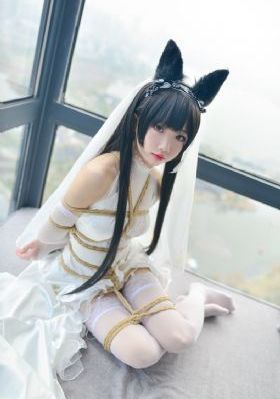 月光变奏曲免费观看