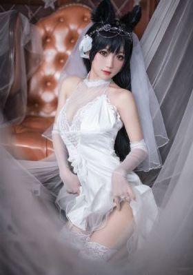 朝雪录电视剧免费观看
