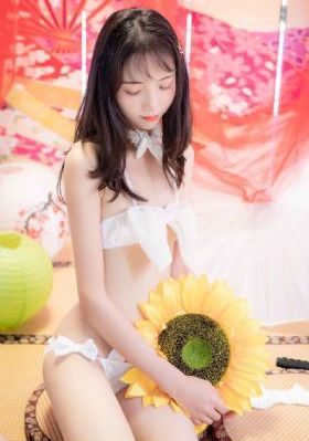 炮神电视剧45集免费